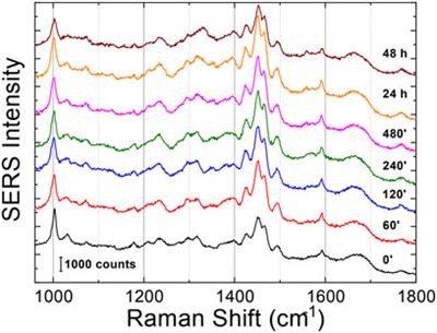Exploring the Aβ1-42 fibrillogenesis timeline by atomic force microscopy and surface enhanced Raman spectroscopy
